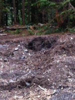 /album/fotogaleria/photo-19-jpg/